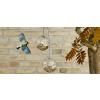 571019 glass bird feeders miljoe 1920x886
