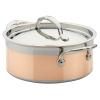 30565 20cm soup pot (2)