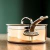 31595 20cm saucepan (10)