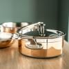 31595 20cm saucepan (11)