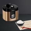 Rýžovar COPPERTINTO RK364G10 2 l, měděná, Tefal