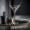 Sklenice na martini ENOTECA 293 ml, sada 2 ks, Zwiesel Glas