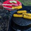 20121 grilling 36