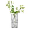 Váza NOBLESSE 23 cm, sklo, Nachtmann