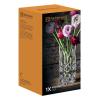 Váza NOBLESSE 23 cm, sklo, Nachtmann